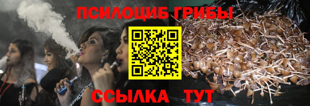 Псилоцибиновые грибы мицелий  Галлюциногенные грибы Cubensis  Югорск  Вход с VPN 